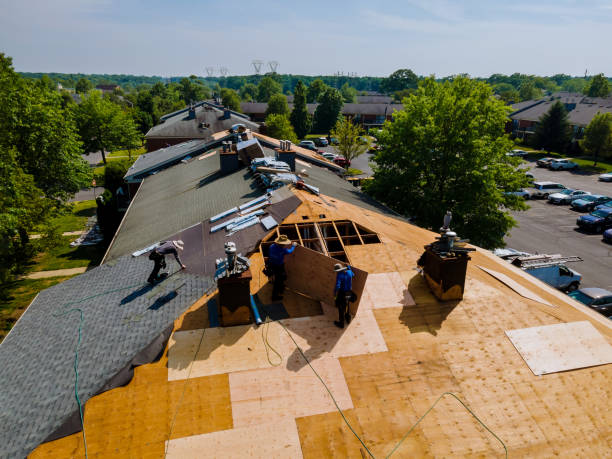 Best Storm Damage Roof Repair  in Parkers Prairie, MN