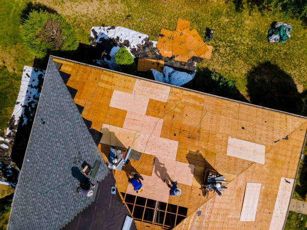 Best Metal Roofing Contractor  in Parkers Prairie, MN