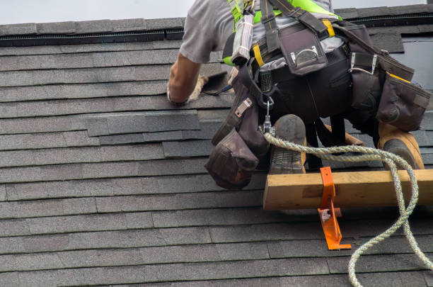 Best Flat Roof Repair Services  in Parkers Prairie, MN